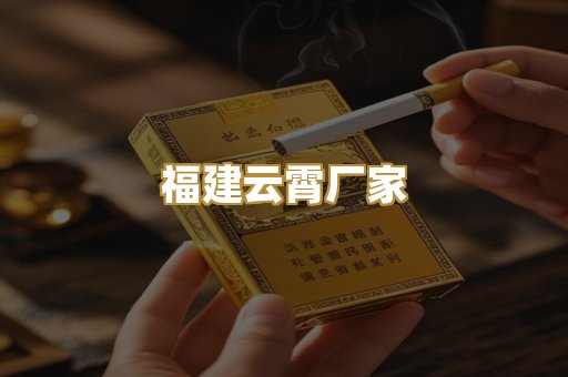 福建云霄厂家